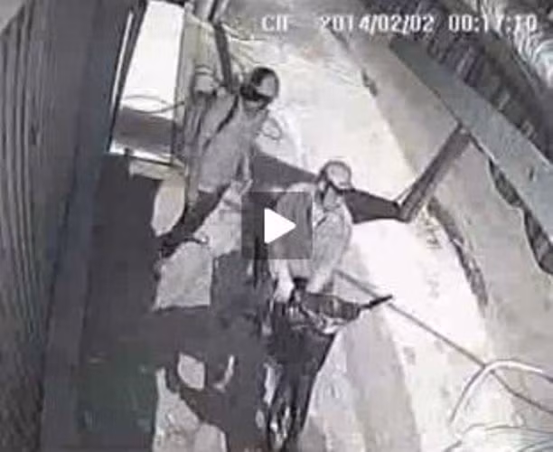 Hình ảnh camera an ninh nhà nạn nhân ghi lại vụ việc các tên trộm cắt khóa vào nhà...