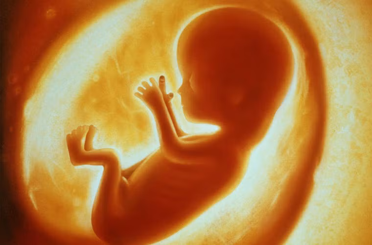 Và kể từ đó cho đến lúc chào đời, số trứng trong cơ thể thai nhi gái chẳng những ngừng tăng thêm mà còn bị “tiêu hao” với tốc độ cực lớn.