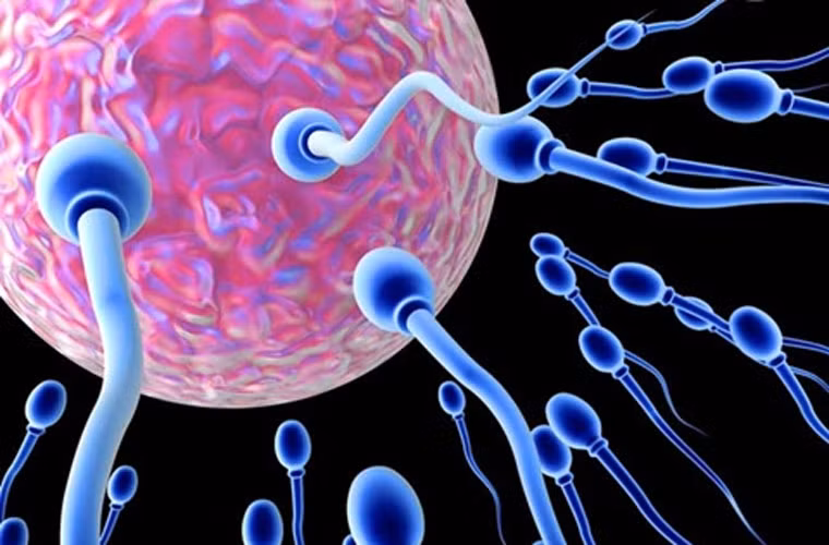 Những mũi tiêm kích thích rụng trứng đều chứa các hormone và tác động nhiều lần của nó khiến buồng trứng phình to ra, đến một lúc nào đó sẽ mất hẳn công năng, dẫn đến vô sinh.