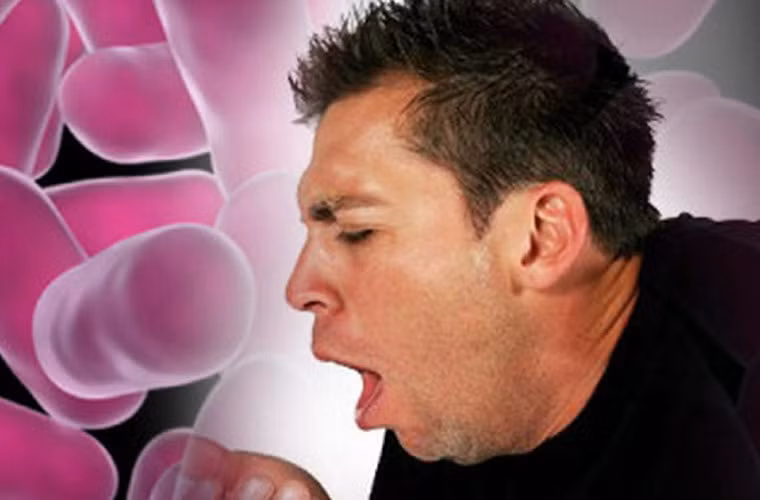 Các bác sĩ Bệnh viện đa khoa Hà Tĩnh cũng từng nội soi gắp con đỉa trâu trong thanh quản anh Lê Khắc T. (36 tuổi, ngụ ở huyện Hương Khê). Anh T. bị ho khan lâu ngày, viêm họng, có đờm đặc, người gầy sút, uống thuốc không đỡ. (Ảnh minh họa)