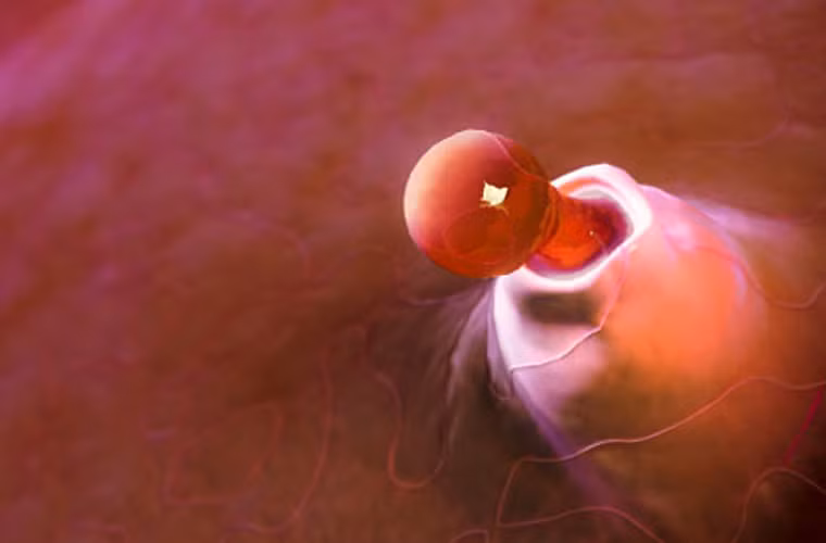 Người có may mắn đó là bác sĩ phụ khoa Jacques Donnez tại Đại học Catholic ở Louvain, Bỉ. Ông tình cờ chứng kiến được quá trình rụng trứng ở người trong ca phẫu thuật cắt bỏ dạ con cho một nữ bệnh nhân 45 tuổi.