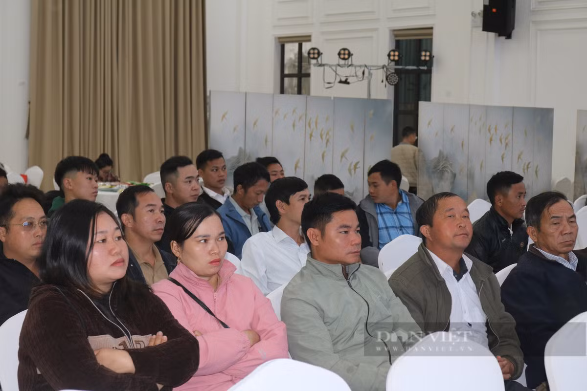 Nuôi cá nước lạnh phát triển mạnh, nông dân miền núi giàu lên hẳn - Hình 2 Nuoi ca nuoc lanh phat trien manh, nong dan mien nui giau len han-Hinh-2