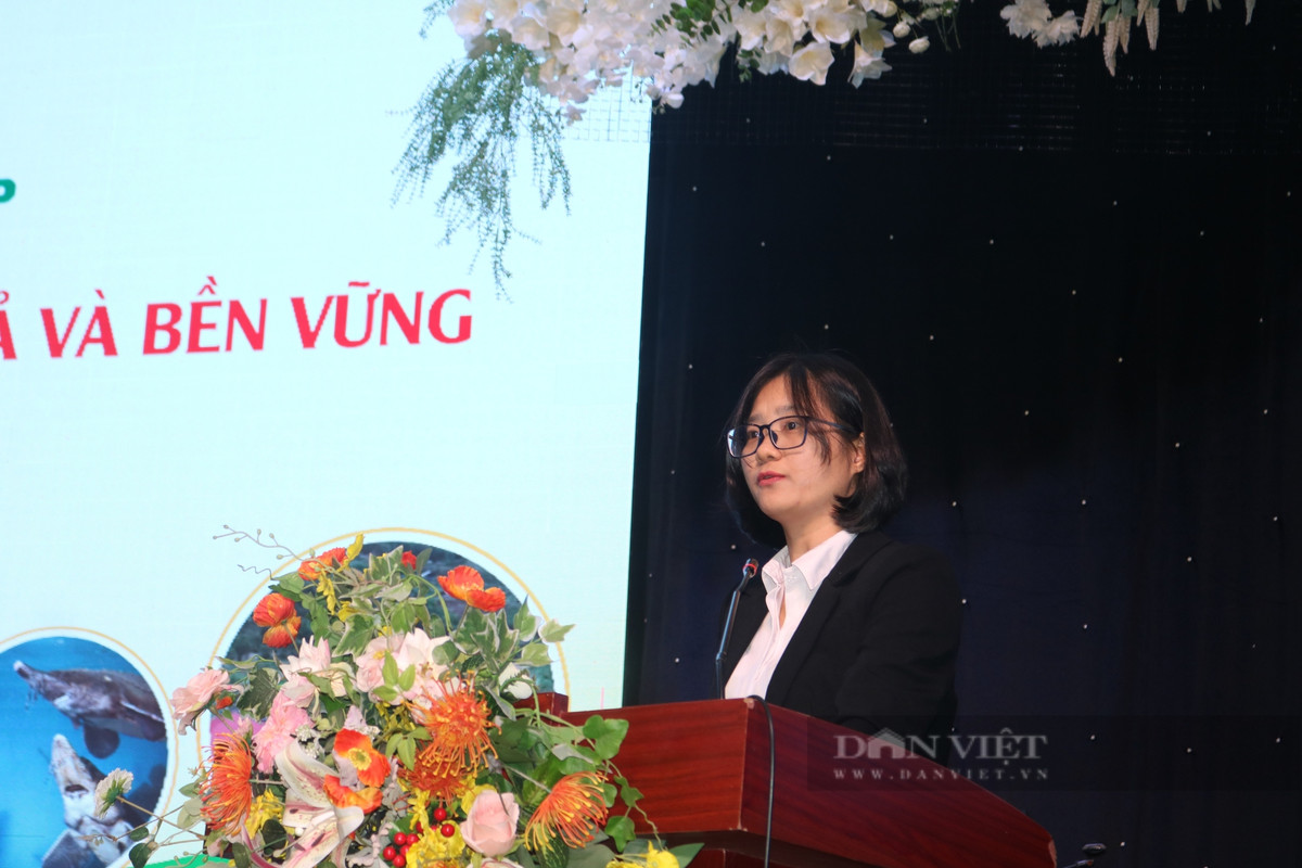 Nuôi cá nước lạnh phát triển mạnh, nông dân miền núi giàu lên hẳn - Hình 3 Nuoi ca nuoc lanh phat trien manh, nong dan mien nui giau len han-Hinh-3