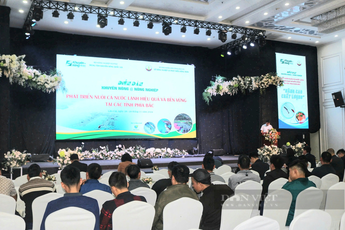 Nuôi cá nước lạnh phát triển mạnh, nông dân miền núi giàu lên hẳn Nuoi ca nuoc lanh phat trien manh, nong dan mien nui giau len han