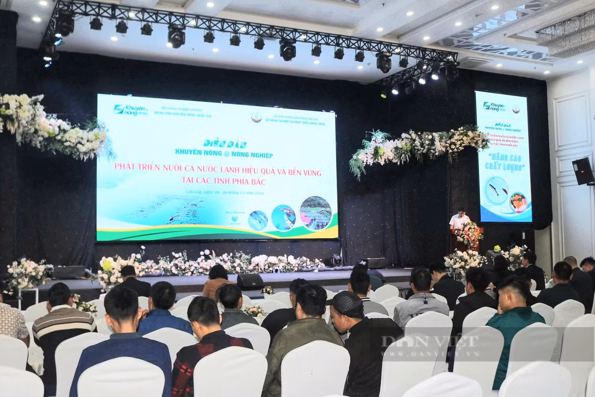 Nuôi cá nước lạnh phát triển mạnh, nông dân miền núi giàu lên hẳn Nuoi ca nuoc lanh phat trien manh, nong dan mien nui giau len han