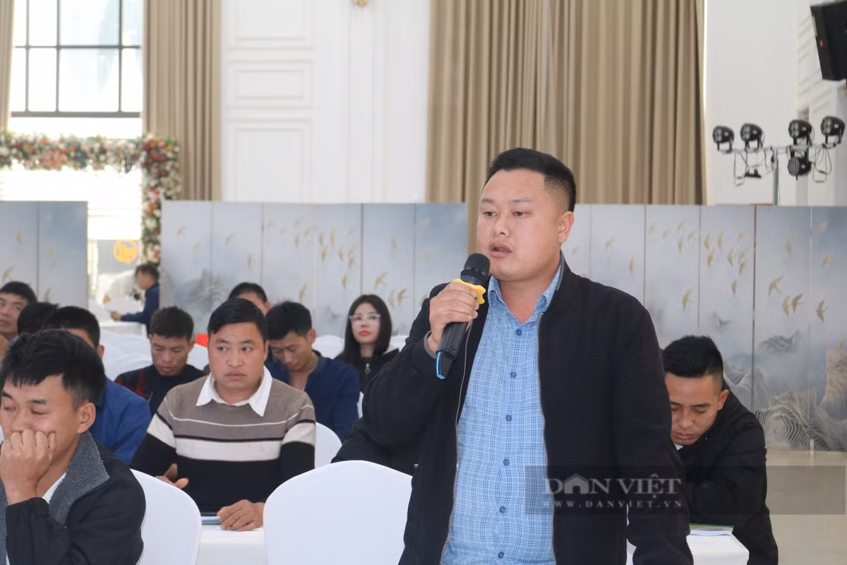 Nuôi cá nước lạnh phát triển mạnh, nông dân miền núi giàu lên hẳn - Hình 6 Nuoi ca nuoc lanh phat trien manh, nong dan mien nui giau len han-Hinh-6