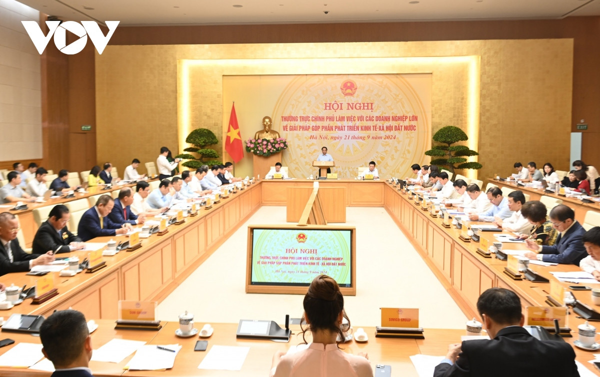 Thủ tướng: Chính phủ cam kết không hình sự hóa các quan hệ kinh tế - Hình 4 Thu tuong: Chinh phu cam ket khong hinh su hoa cac quan he kinh te-Hinh-4