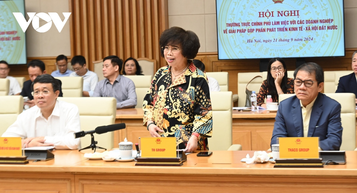 Thủ tướng: Chính phủ cam kết không hình sự hóa các quan hệ kinh tế - Hình 8 Thu tuong: Chinh phu cam ket khong hinh su hoa cac quan he kinh te-Hinh-8