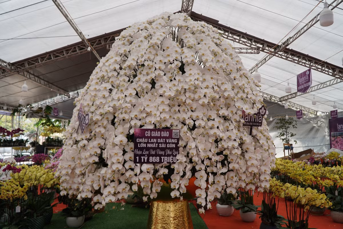 Theo anh Khanh, con số 868 cành hoa và chậu dát vàng mang ý nghĩa về sự phú quý, sung túc, phát tài phát lộc trong những ngày đầu xuân. Các thợ lành nghề phải thực hiện hơn 5 ngày mới có thể hoàn thành tác phẩm.