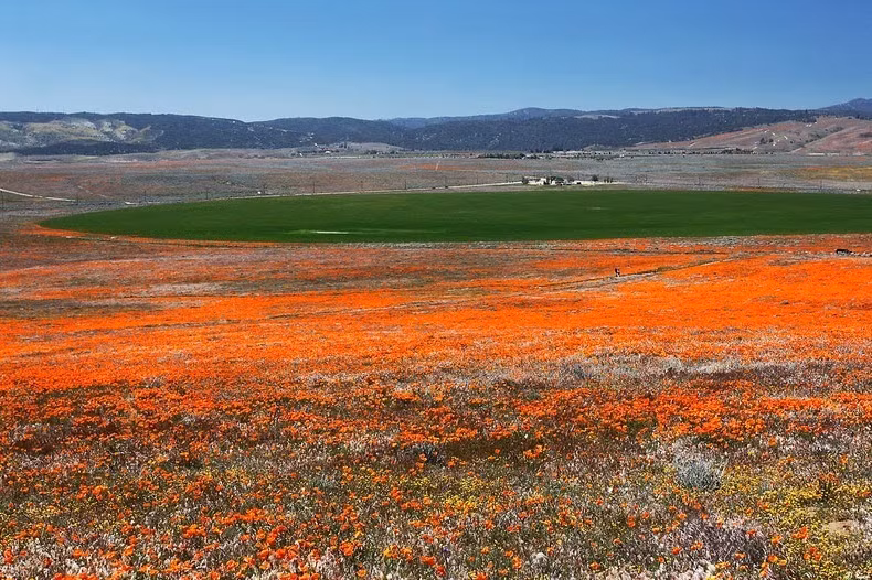 Các thung lũng Antelope nằm ở phía tây sa mạc Mojave, ở độ cao 800-900 m, biến nó trở thành môi trường sa mạc cao.