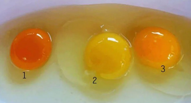 5 thuc pham bo duong nhung “dai ky” voi trung ga