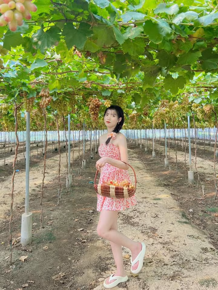 Ve dep say long cua Ninh Thuan: Bai da 