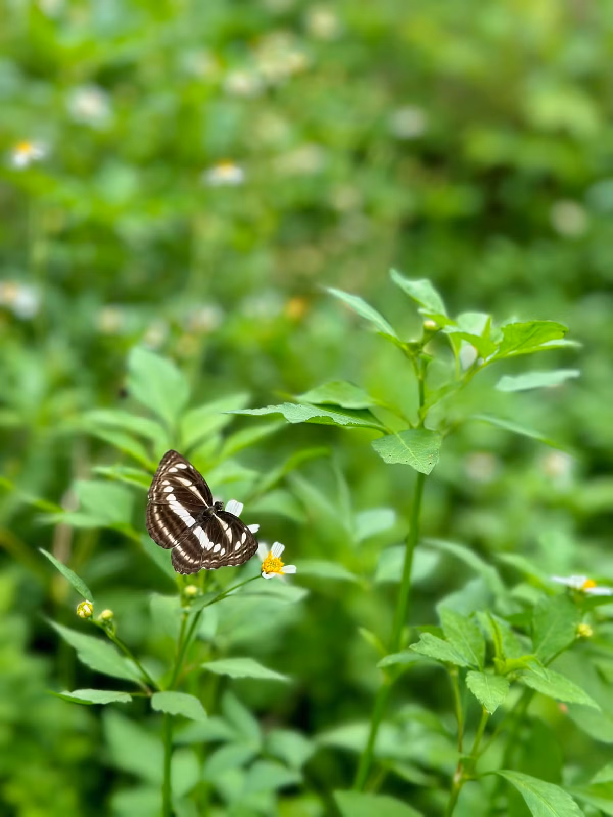 Hai ngay len rung, xuong bien va dieu thu vi thu hut gioi tre-Hinh-7