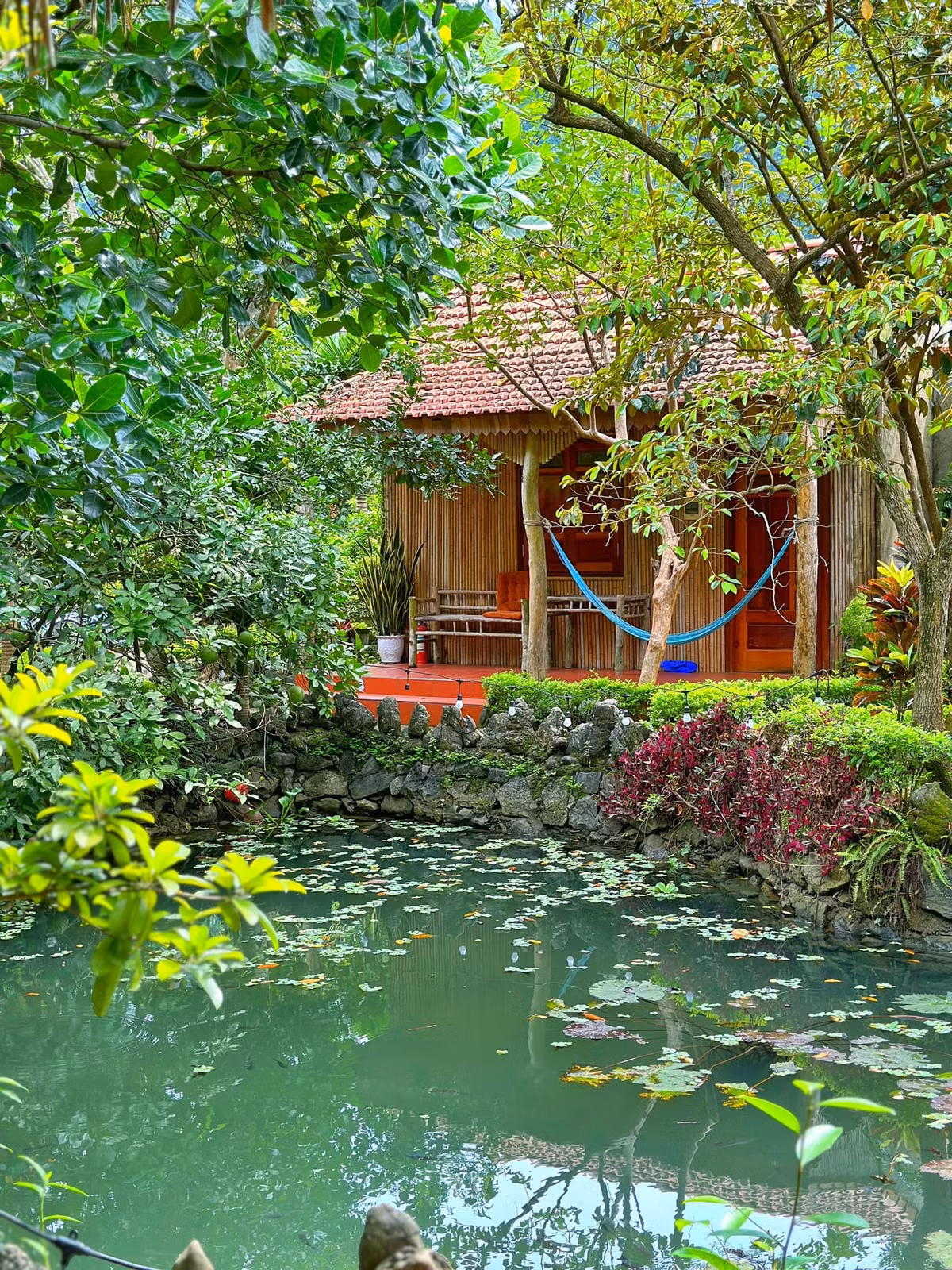 Hai ngay len rung, xuong bien va dieu thu vi thu hut gioi tre-Hinh-3