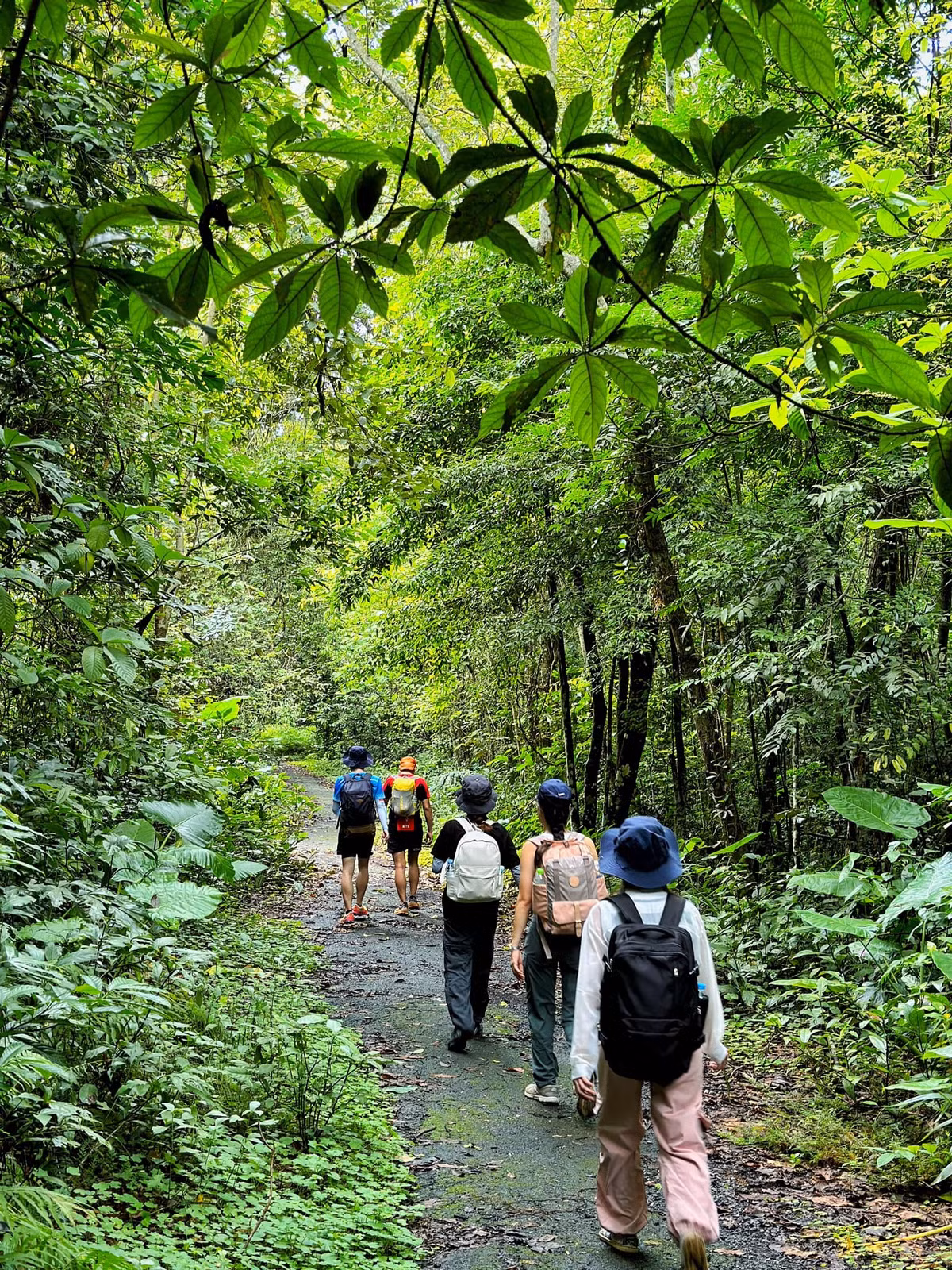 Hai ngay len rung, xuong bien va dieu thu vi thu hut gioi tre-Hinh-4