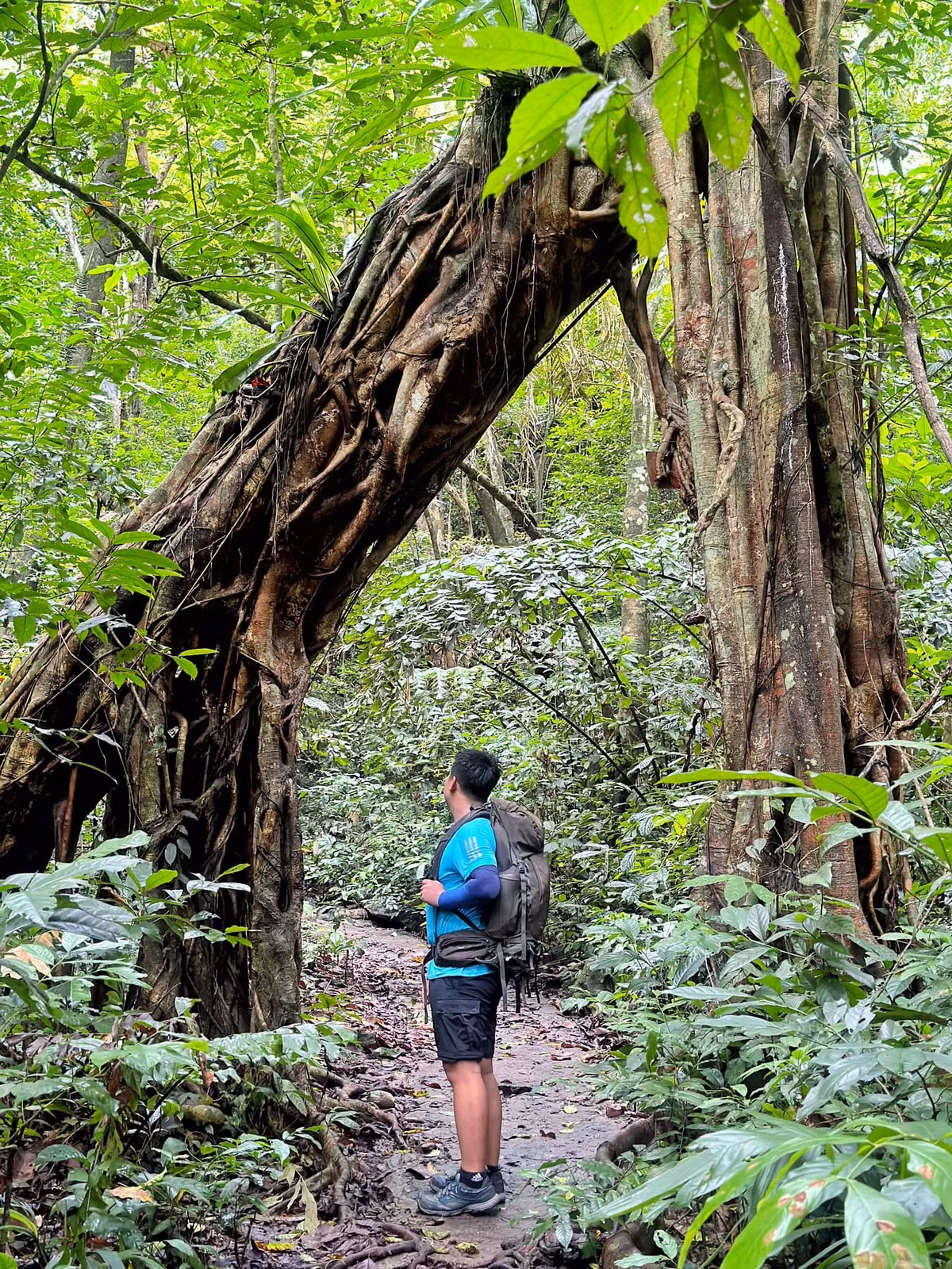 Hai ngay len rung, xuong bien va dieu thu vi thu hut gioi tre-Hinh-6