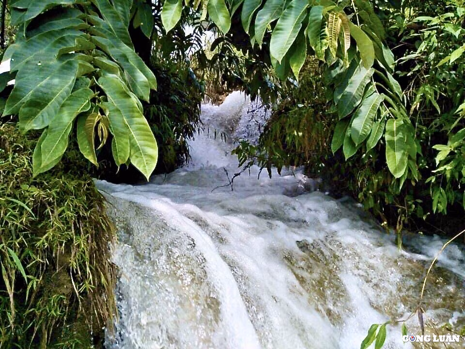 Chia sẻ với phóng viên, anh Trung Thành (Hà Nội) cho biết: “Khi đến nơi tôi khá bất ngờ vì không khí ở đây mát mẻ, trong lành, nước ở đây vừa sạch vừa trong, có thể nhìn tận đáy. Bao quanh thác là những ngọn núi, cánh đồng xanh phản chiếu xuống mặt nước tạo nên khung cảnh rất đẹp. Chắc chắn tôi sẽ còn quay lại nơi đây".