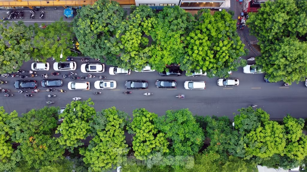 Các phương tiện tham gia giao thông trong những ngày hè được cây xanh che phủ trên nhiều tuyến phố của Thủ đô.