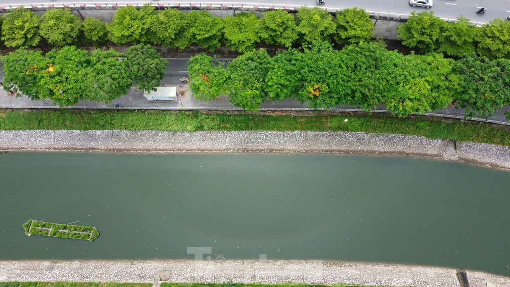 Cây xanh phủ kín trên tuyến phố dọc hai bên dòng sông Tô Lịch trên địa bàn quận Cầu Giấy.