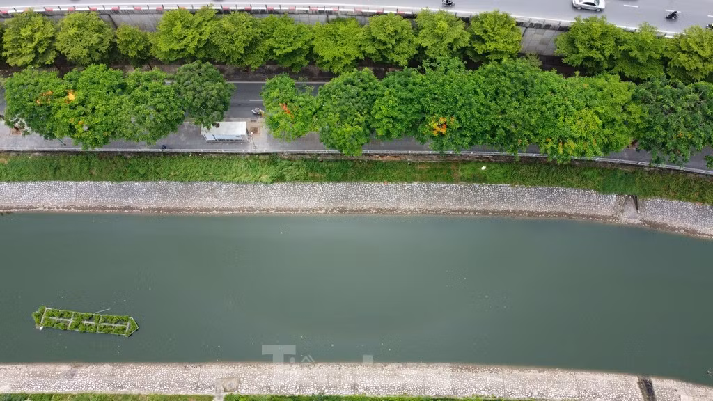 Cây xanh phủ kín trên tuyến phố dọc hai bên dòng sông Tô Lịch trên địa bàn quận Cầu Giấy.