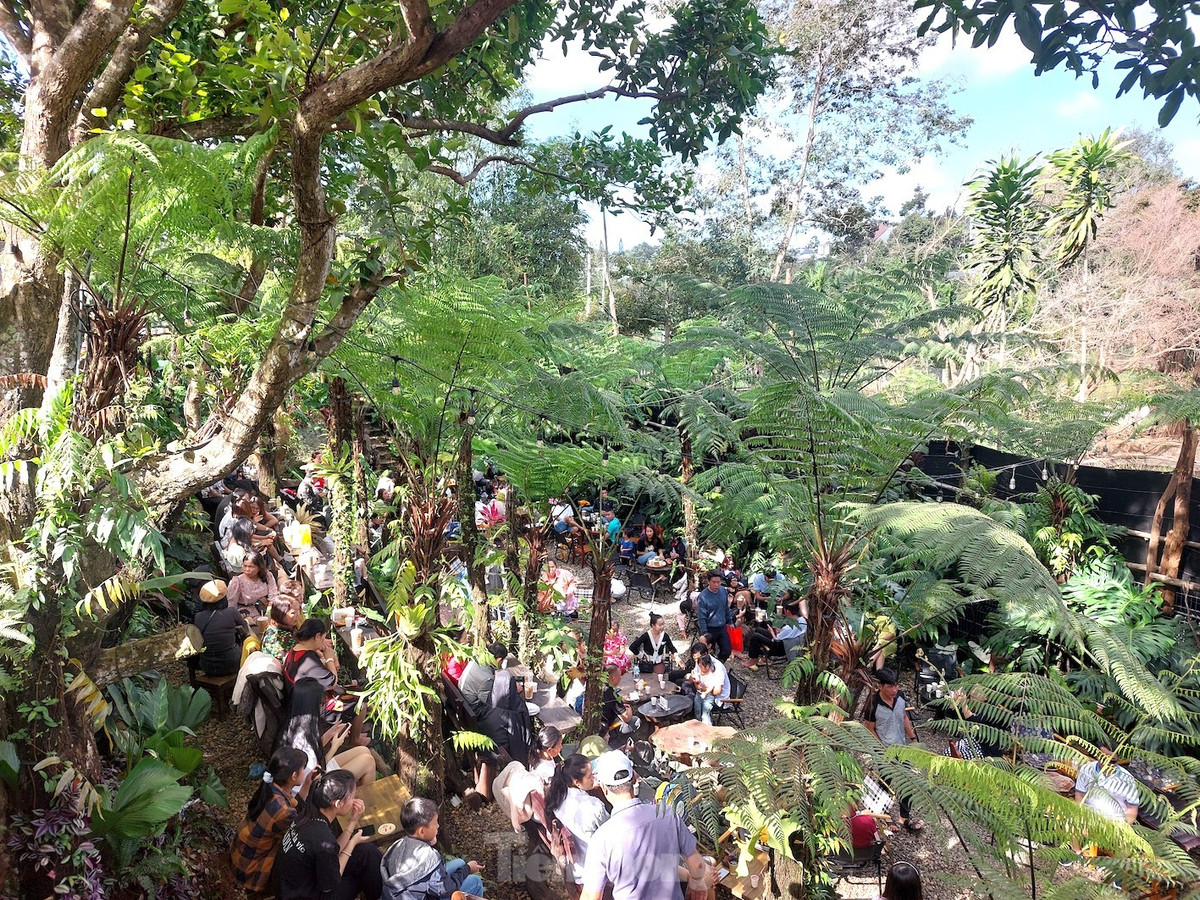 Bên cạnh đó, nhiều quán cà phê được chủ quán khéo léo bố trí không gian xanh mát đặc trưng, nhiều tiểu cảnh, cây xanh… tạo nên những góc check in đẹp.