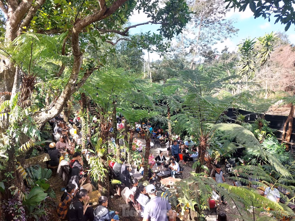 Bên cạnh đó, nhiều quán cà phê được chủ quán khéo léo bố trí không gian xanh mát đặc trưng, nhiều tiểu cảnh, cây xanh… tạo nên những góc check in đẹp.