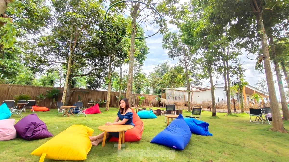 Không chỉ là địa điểm để thư giãn, thưởng thức đồ uống, nhiều quán cà phê ở thành phố đã cất công đầu tư trang trí quán theo phong cách đẹp, độc lạ khác nhau để khách hàng thỏa sức chụp hình “sống ảo”.