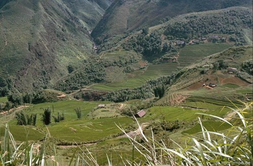 Nhiều thửa ruộng nằm kề bên những vách núi hiểm trở.