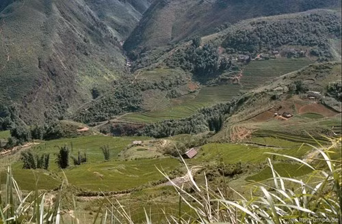 Nhiều thửa ruộng nằm kề bên những vách núi hiểm trở.