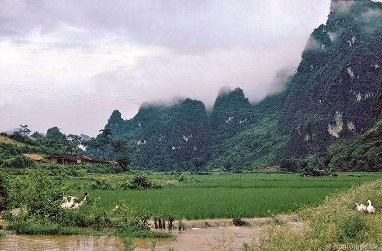 Mây mù tràn xuống những đỉnh núi.