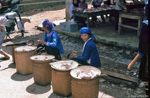 Người H'Mông xanh.