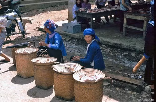 Người H'Mông xanh.