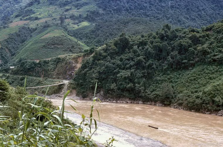 Ruộng ngô nằm bên bờ sông.