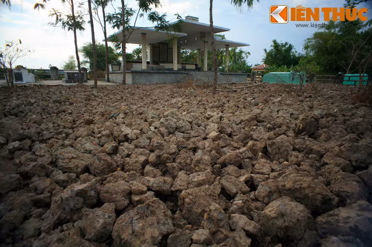 Khu mộ họ Trần Trinh nằm trên một bãi đất khô cằn.