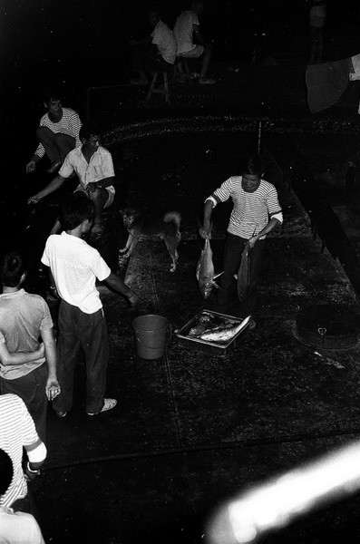 Câu cá cải thiện bữa ăn của lính đảo.