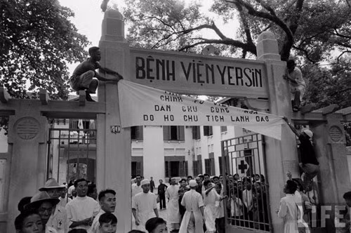 Biểu ngữ ủng hộ chính quyền Việt Minh được treo trước cổng bệnh viện Yersin.