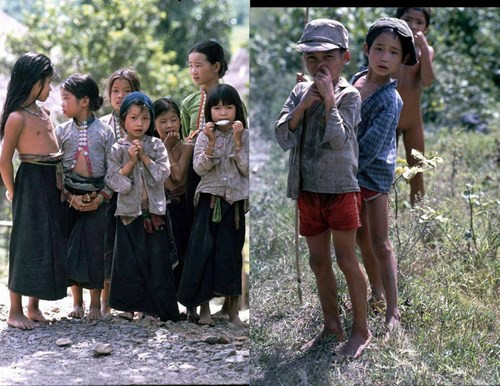 Nhiều đứa trẻ lần đầu tiên nhìn thấy một "ông Tây".