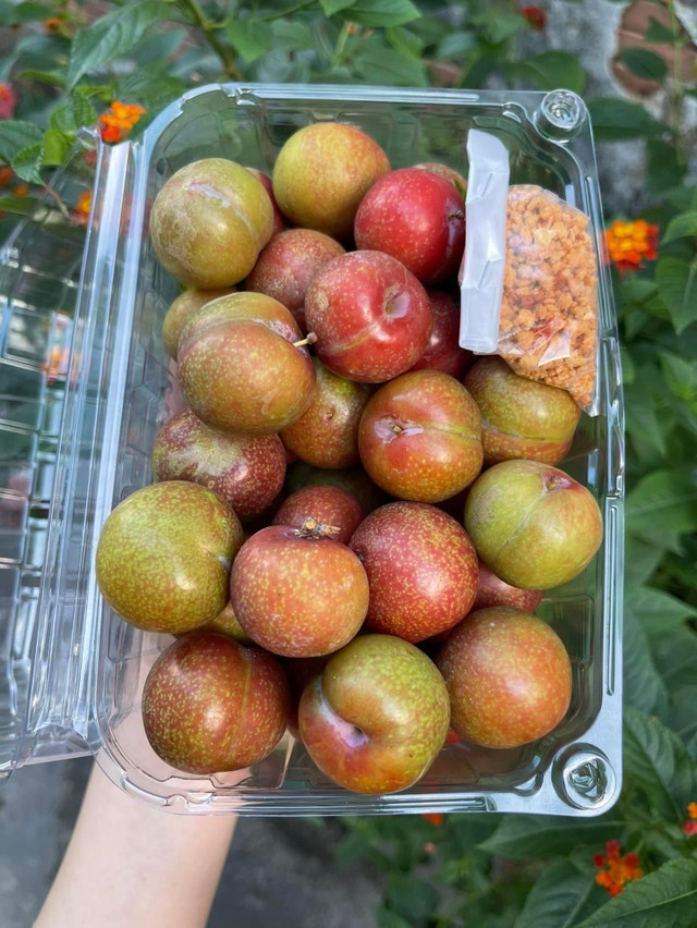 Mận Mộc Châu, Sơn La sốt giá trên chợ mạng - Hình 2 Man Moc Chau, Son La sot gia tren cho mang-Hinh-2