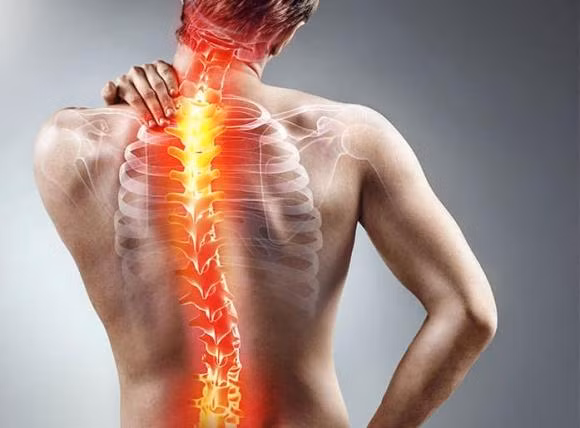 8 meo chua met moi, dau nhuc con tot hon ca 'mat xa'-Hinh-2