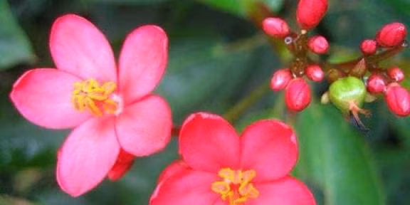 Be nam sinh vao gio nay la nguoi co duc co tai-Hinh-3