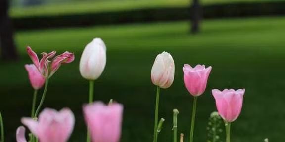 Be nam sinh vao gio nay la nguoi co duc co tai-Hinh-4