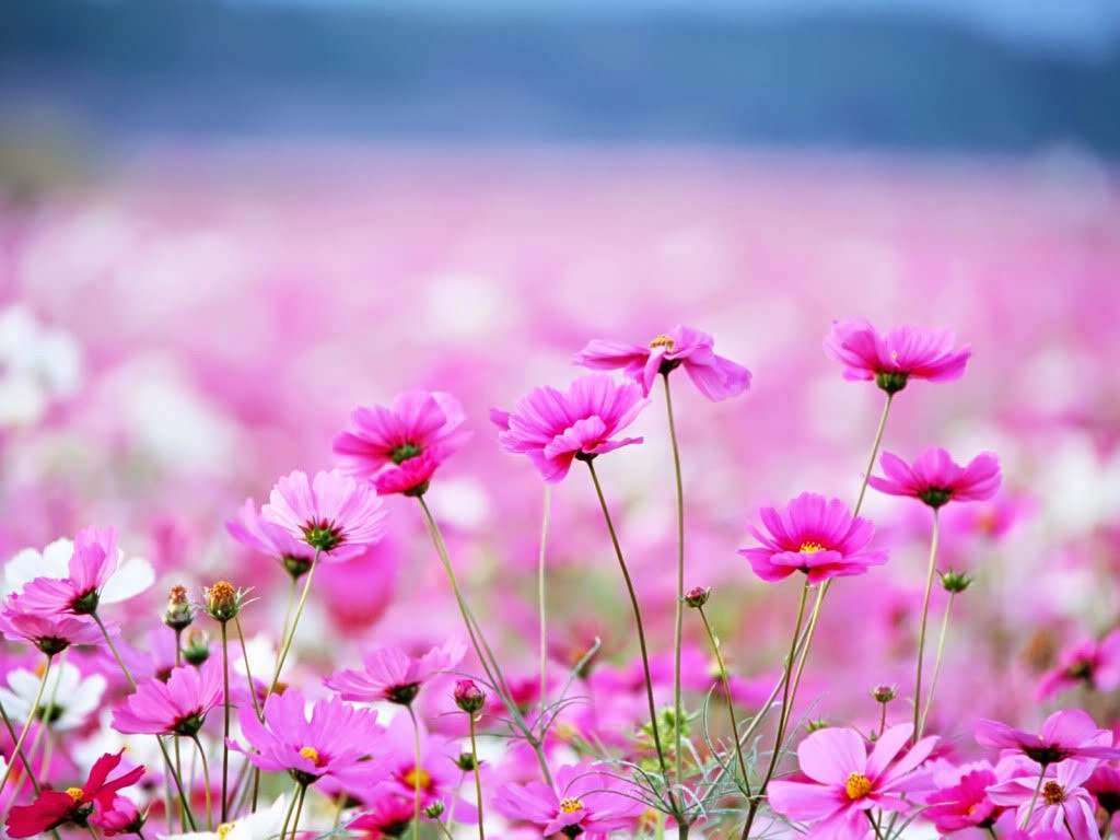 Cuoi thang 2 nhuan Am lich, 3 con giap tich du phuoc lanh