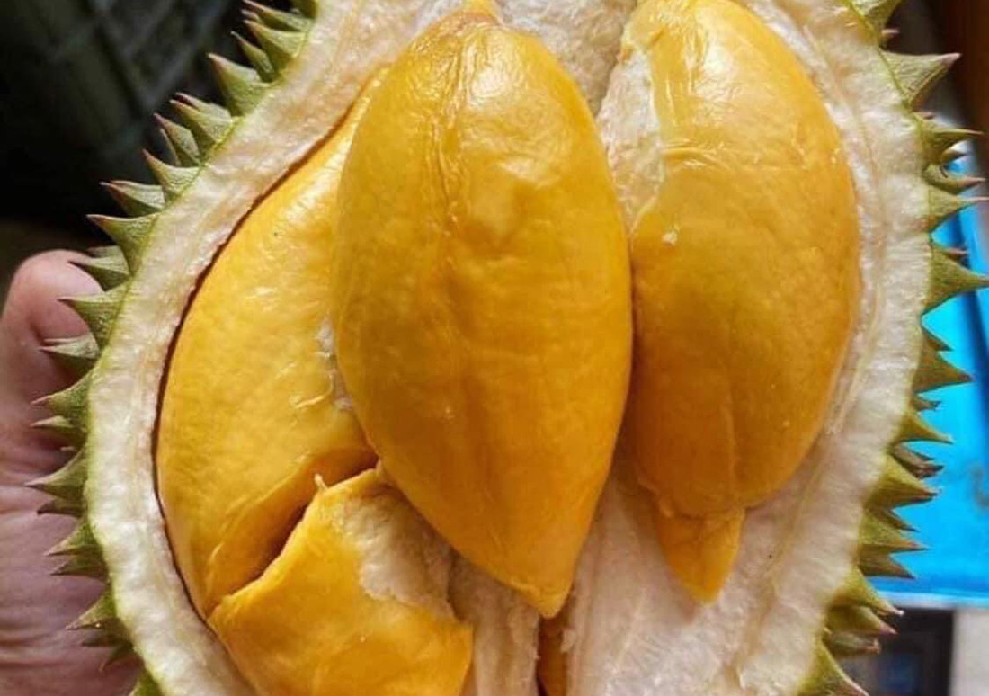 Xuất sầu riêng sang Trung Quốc, hàng Thái tràn chợ Việt bán giá cao - Hình 2 Xuat sau rieng sang Trung Quoc, hang Thai tran cho Viet ban gia cao-Hinh-2