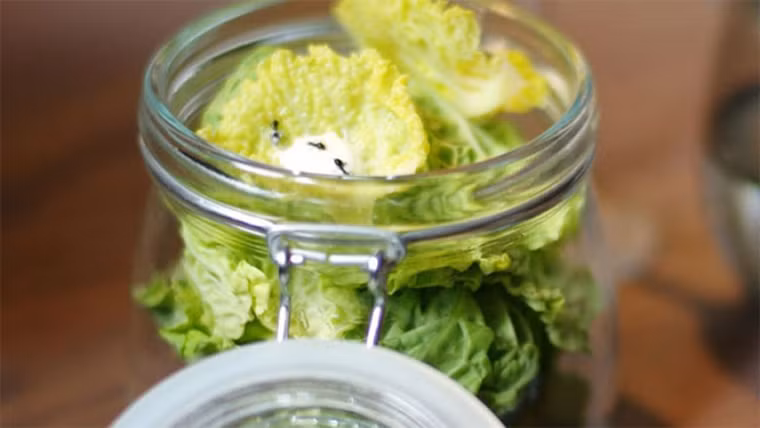 Kiến ướp lạnh (Đan Mạch). Không được bày bán phổ biến, bạn chỉ nhâm nhi những chú kiến sống khi đến nhà hàng tại Copenhagen. Món ăn có vị giòn của kiến, cay cay và phảng phất mùi hương của gừng, rau mùi và sả.