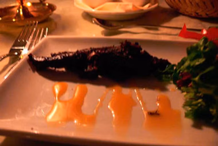 Hiện lượng Puffin đang giảm mạnh nên người dân nơi đây đang từng bước khai thác chim có kế hoạch, tránh trường hợp đẩy loài chim quý dẫn đến nguy cơ tuyệt chủng.