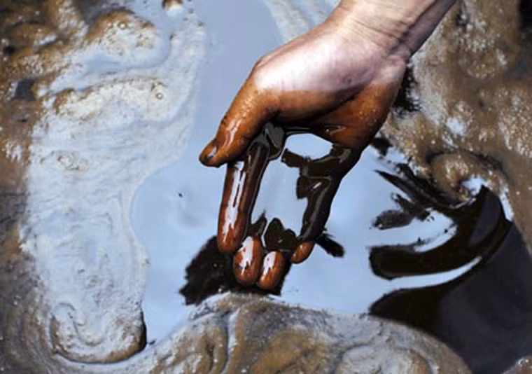 Dù vậy, bất chấp sự an nguy của người tiêu dùng cùng nhiều lệnh cấm, hàng tấn dầu bẩn ngày ngày vẫn hiện hữu trên thị trường. Thậm chí, nó nhiều tới mức người ta ước tính cứ 10 bữa ăn của người dân Trung Quốc thì có 1 bữa dùng dầu ăn phế thải.