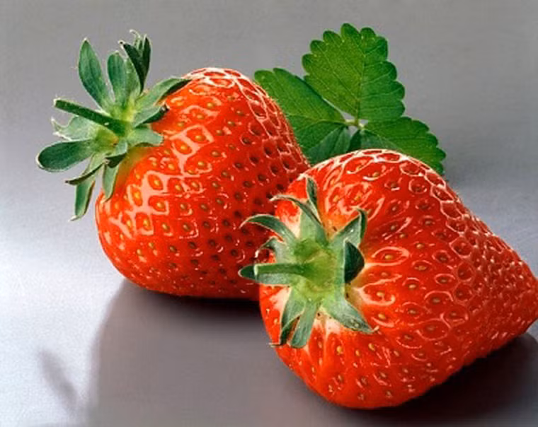 Theo tính toán của các nhà khoa học đến từ Brazil, việc ăn cả quả sẽ giúp cơ thể hấp thu nhiều vitamin C hơn 8% – 12% so với việc cắt nhỏ. Trường hợp mua về nhưng chưa sử dụng hết, bạn nên lưu trữ dâu trong tủ lạnh hoặc nhiệt độ mát mẻ.