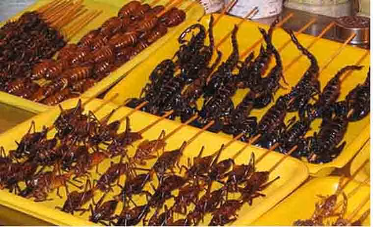 Bọ cạp chiên. Người Trung Quốc vốn nổi tiếng với những món ăn kỳ dị. Không chỉ có thể thưởng thức bọ cạp chiên, bạn có thể tìm thấy các món độc đáo khác như sao biển nướng tại chợ đêm Vương Phủ Tỉnh.