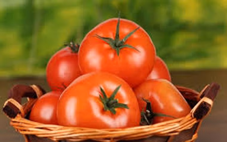 Không nên bảo quản cà chua bằng tủ lạnh. So với các loại quả khác, cà chua không được khuyến khích bảo quản trong tủ lạnh. Việc tiếp xúc với nhiệt độ thấp khiến chúng dễ mất đi hương vị đặc trưng, thậm chí phần thịt có thể bị ủng nước, dễ dập nát.