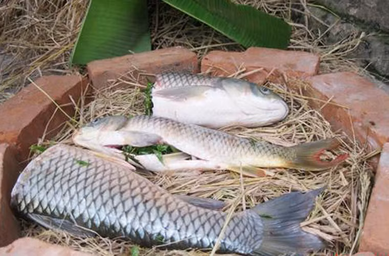 Canh chừng cá đã ngấm gia vị, đầu bếp sẽ nhanh tay “nhốt” cá vào một chiếc chậu nhôm dày. Cá được đặt trên lớp rơm nếp sạch lót cùng lá chuối, xung quanh xếp gạch.